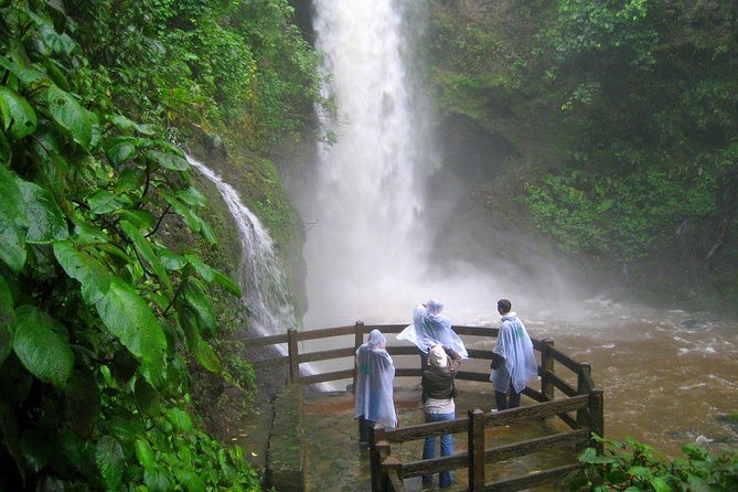 Private Puntarenas Shore Excursion: Poas Volcano and La Paz Waterfall Gardens - Customer Feedback and Recommendations