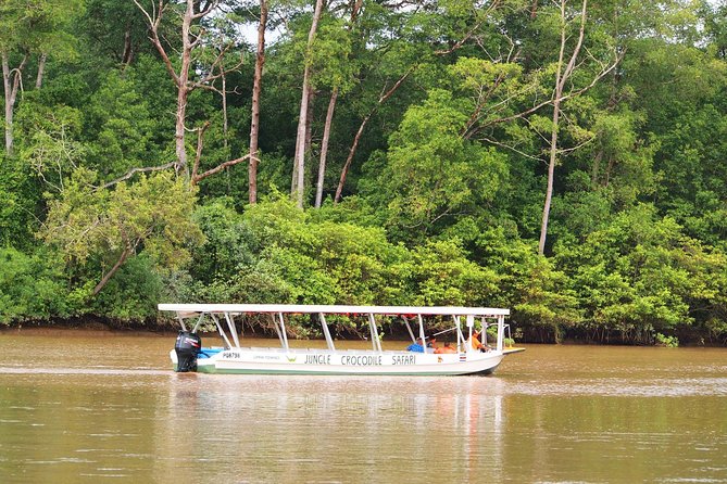 Private Puntarenas Shore Excursion: Tarcoles River Boat Tour at the Jungle - Feedback From Previous Participants
