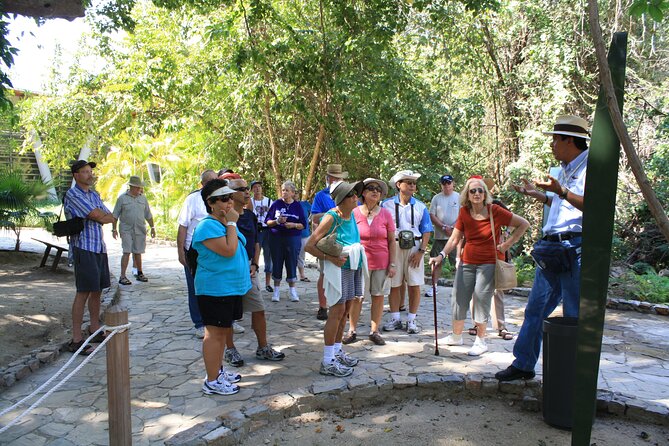 Private. Pyramids Archaeological Site HT - Inclusive and Accessible Tour