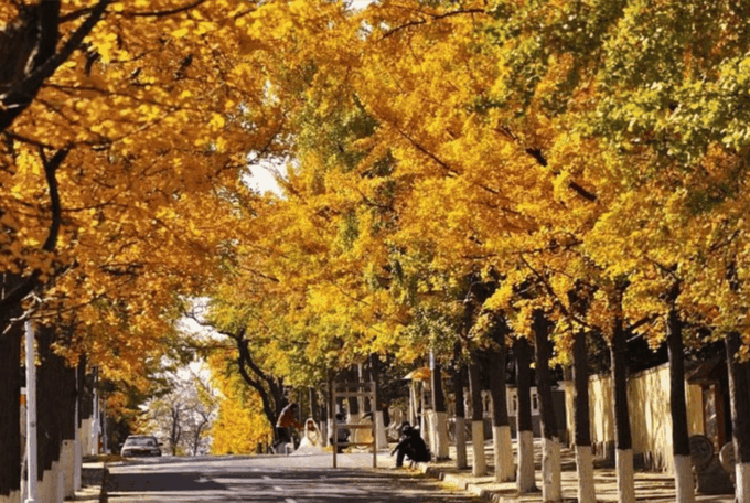 Private Qingdao City Tour With Qingdao Beer and Lunch - Private Transfers