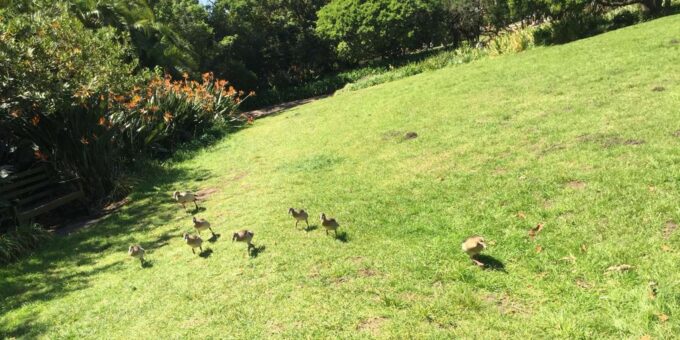 Private Quad Biking & Kirstenbosch Botanical Garden Day Tour - Inclusions and Important Information
