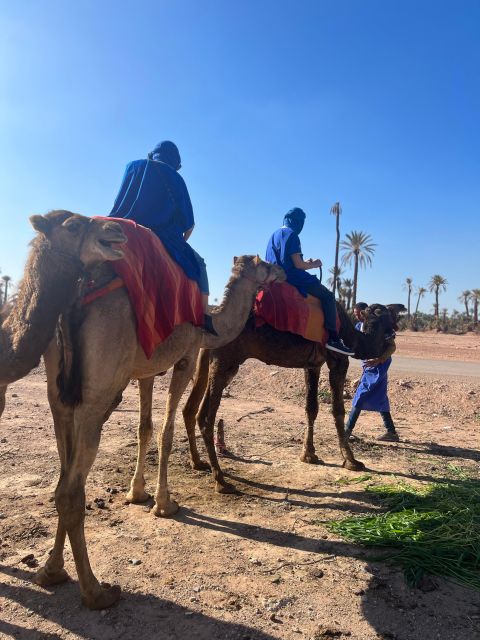Private Quad in Ouarzazate: Explore the Desert in VIP! - Customer Reviews