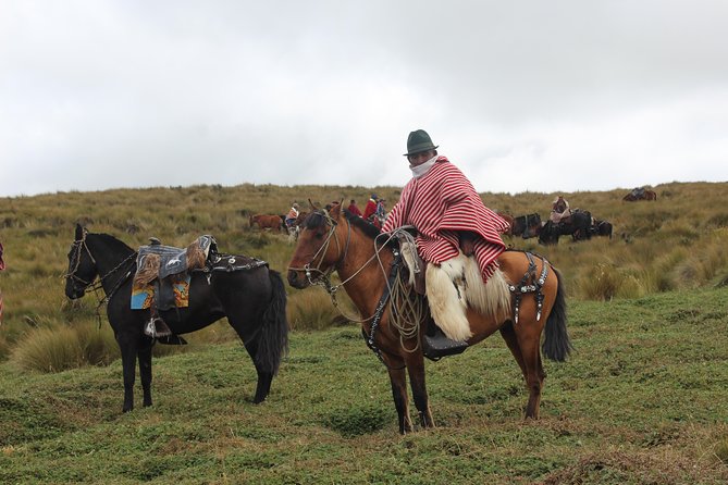 Private Quito City Tour With Teleférico and Horse Ride in Pichincha Volcano - Customized Tour for Diverse Travelers