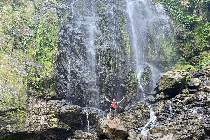 Private Rainforest Hike to Hidden Waterfall Tour With Transport - Inclusions