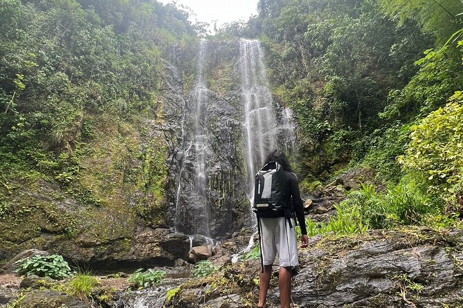 Private Rainforest Hike to Hidden Waterfall Tour With Transport - Cancellation and Pricing