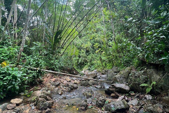 Private Rainforest Hike to Hidden Waterfall Tour With Transport - Safety and Preparation