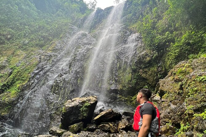 Private Rainforest Hike to Hidden Waterfall Tour With Transport - Exploring the Rainforest