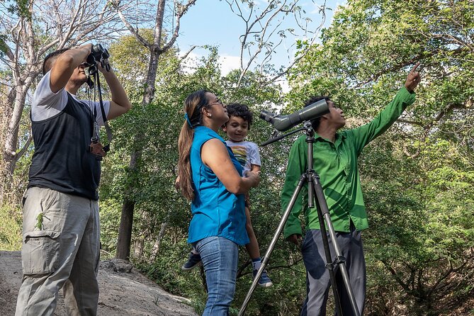 Private Rainforest Walk Through the Guanacaste National Park - Key Points