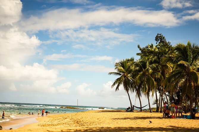 Private Rainforest Waterfall Escape Local Foods and Beach Tour - Exploring the Rainforest