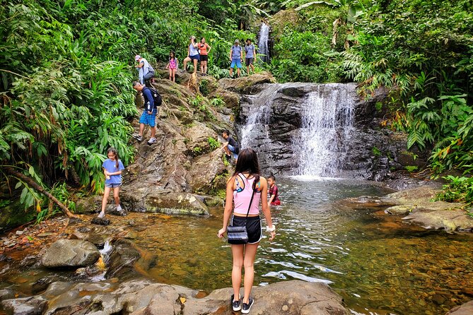 Private Rainforest Waterfalls and Beach Hiking Tour From San Juan - Meeting and Pickup