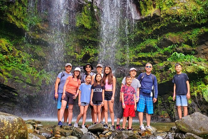 Private Rainforest Waterfalls and Beach Hiking Tour From San Juan - Toro Negro State Rainforest