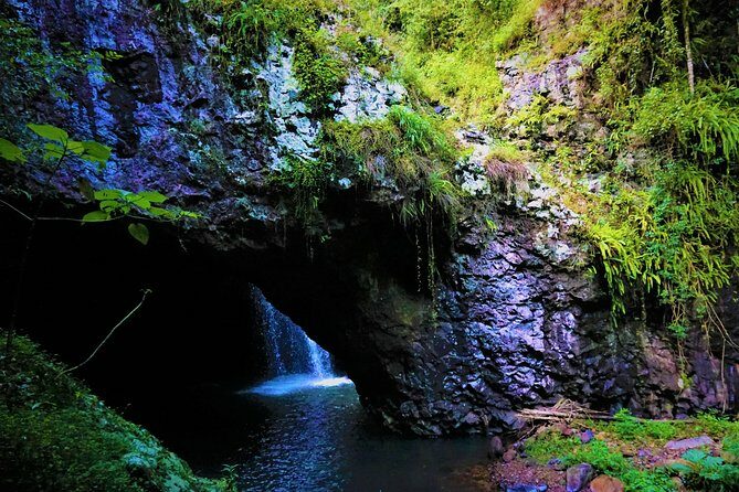 Private Rainforest & Wildlife Tour - Build Your Own Experience - FAQs