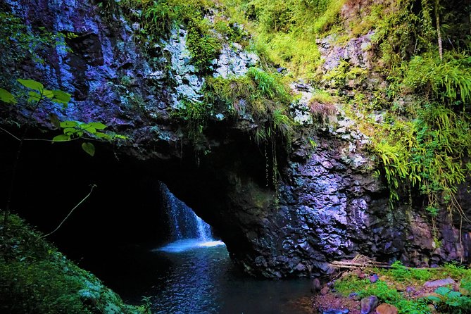Private Rainforest & Wildlife Tour - Build Your Own Experience - Inclusions