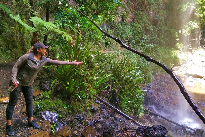 Private Rainforest & Wildlife Tour - Build Your Own Experience - Reviews