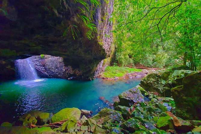 Private Rainforest & Wildlife Tour - Build Your Own Experience - Adventure and Discovery