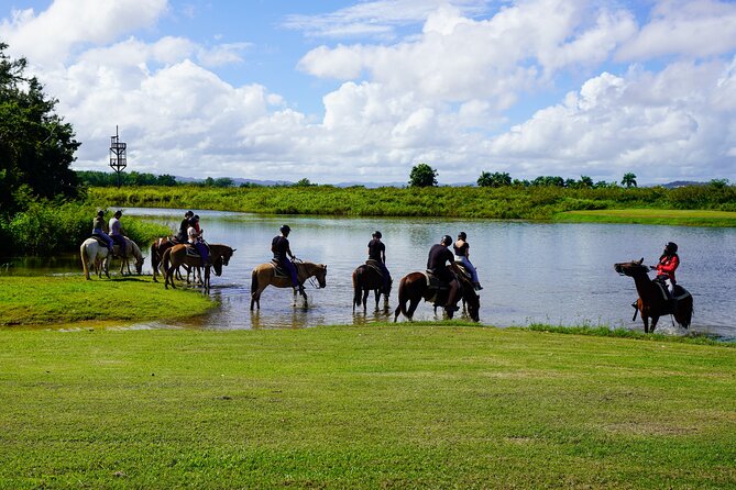 Private Ranch Horseback Tour in Carolina, Puerto Rico - Tour Experience