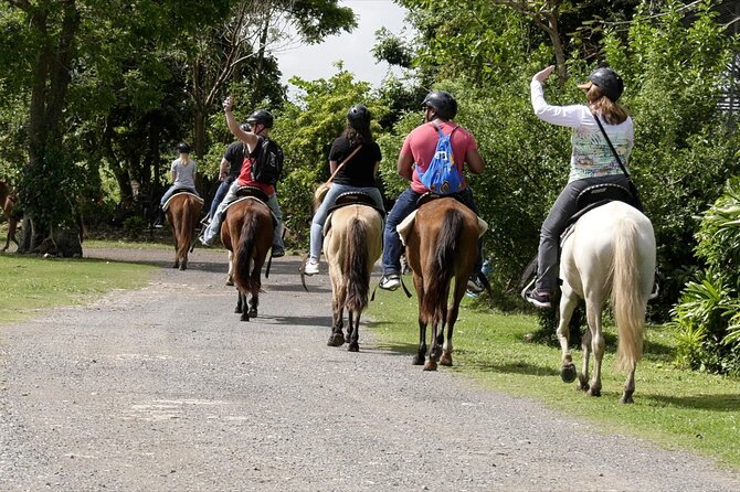 Private Ranch Horseback Tour in Carolina, Puerto Rico - Customer Reviews