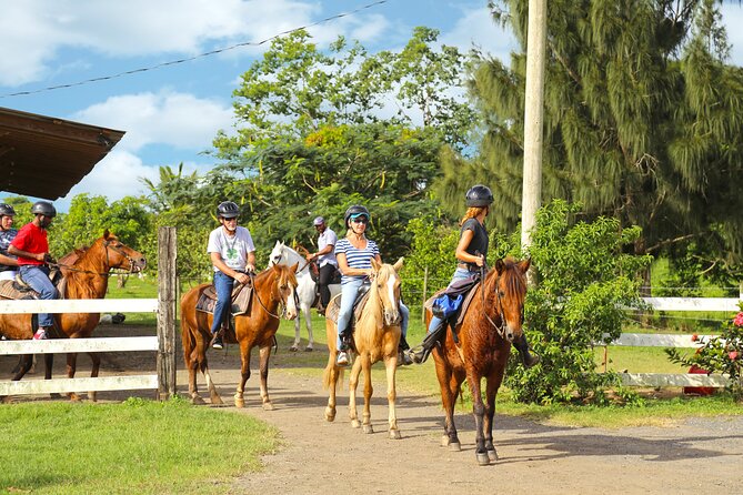 Private Ranch Horseback Tour in Carolina, Puerto Rico - Scenic Mountain and Coastal Views