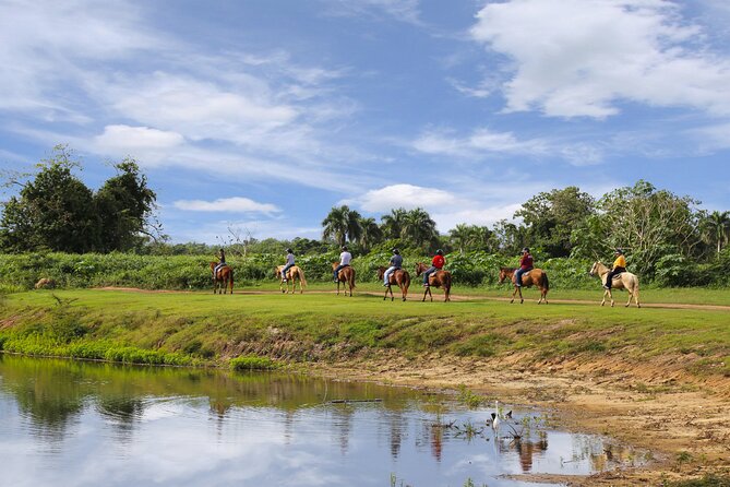 Private Ranch Horseback Tour in Carolina, Puerto Rico - Hilltop Bar and Refreshments