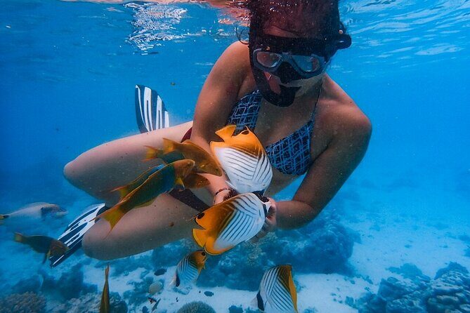 Private Rarotonga Turtle Tour - What Makes the Experience Special