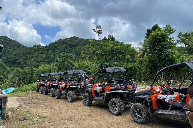 Private Rasta Safari Cultural UTV Village Experience - Farm Tour & Jamaican Living