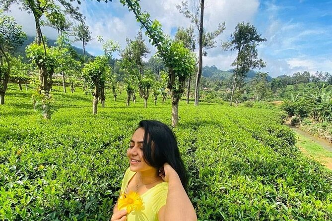 Private Ravana Falls and Nine Arches Bridge Ella Tour From Galle - Accessibility and Participation