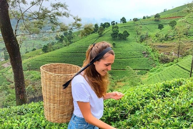 Private Ravana Falls and Nine Arches Bridge Ella Tour From Galle - Ravana Falls Highlights