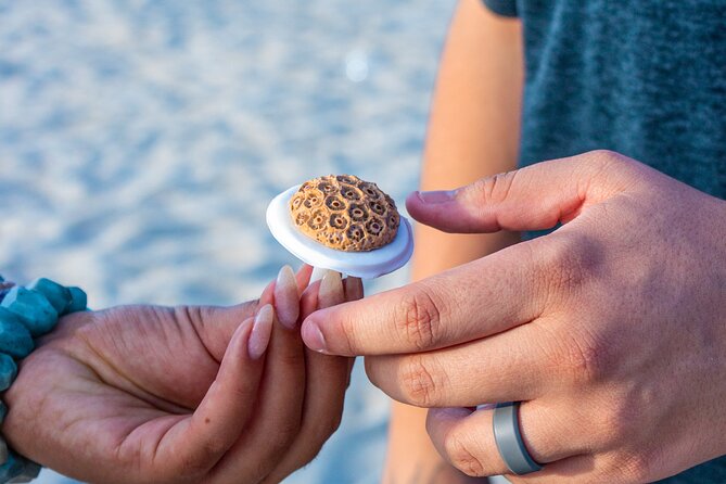 Private Re Planting Coral Fragments With Reefvitalize - About Your Stay