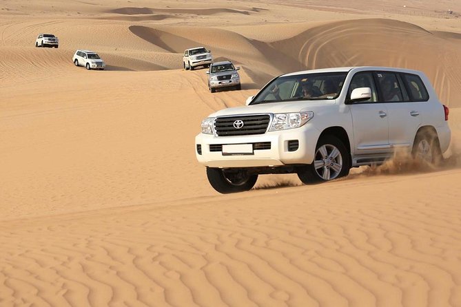 PRIVATE Red Dune Desert Safari, BBQ Dinner, Camel Ride & Falcon Photo - Group Size and Pricing