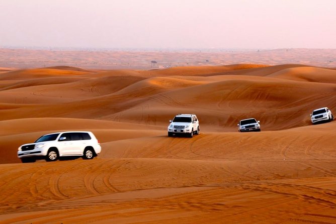 Private Red Dune Desert Safari - What to Expect on the Tour