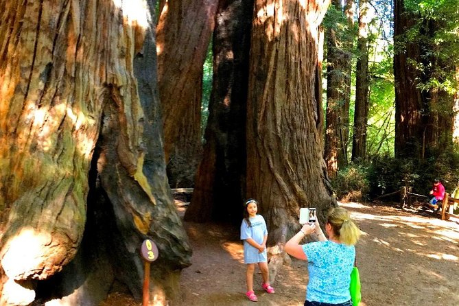 Private Redwoods Tour & Beach Horseback Riding Experience From San Francisco - Additional Information
