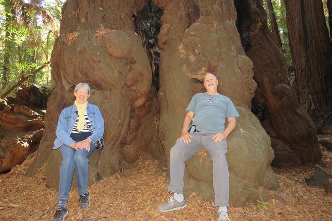 Private Redwoods Tour & Beach Horseback Riding Experience From San Francisco - Redwood Park Highlights