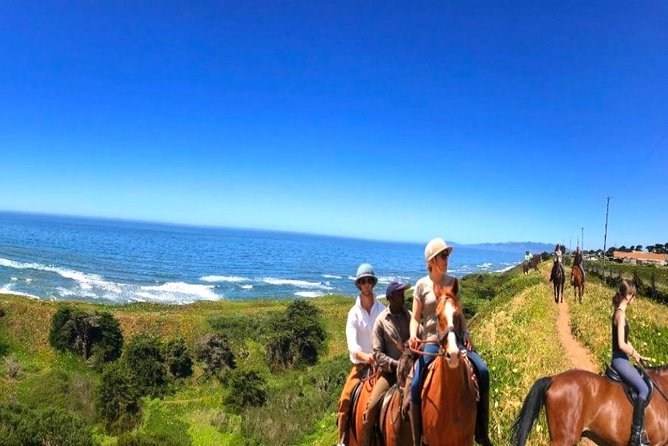 Private Redwoods Tour & Beach Horseback Riding Experience From San Francisco - Frequently Asked Questions
