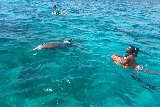 Private Reef, Beach and Sandbar Tour From Providenciales - Cancellation Policy