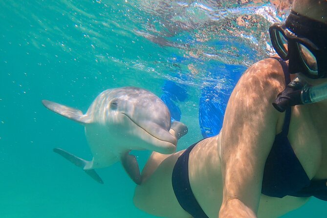 Private Reef, Beach and Sandbar Tour From Providenciales - Price Guarantee