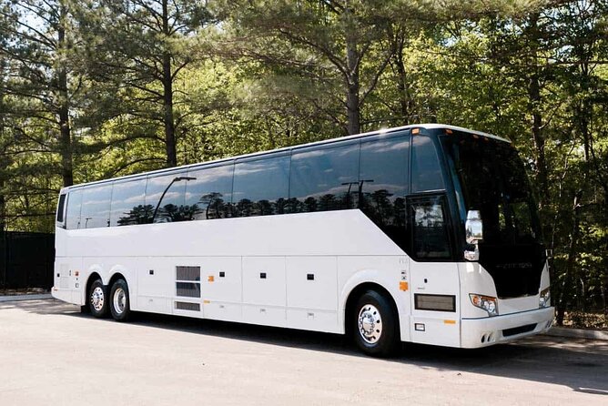 Private Reggae Sumfest Round Trip Transportation - Transportation Details and Pickup