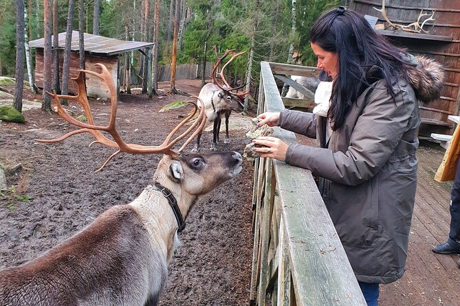 PRIVATE Reindeer Park Adventure by VIP Car - Pickup Information