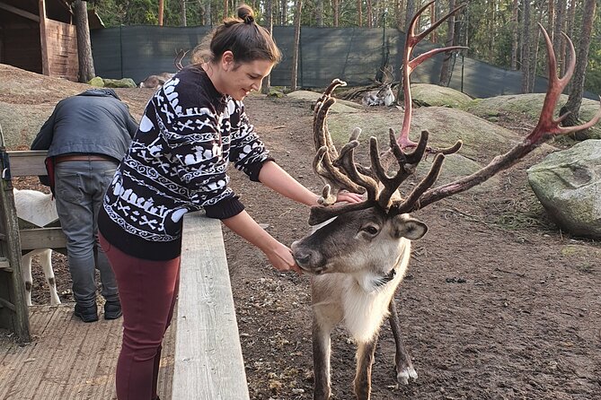 PRIVATE Reindeer Park Adventure by VIP Car - Traveler Reviews and Feedback