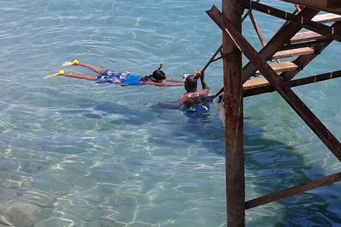 Private Relaxing Tour to El Ain El Sokhna Red Sea From Cairo - Participant Requirements