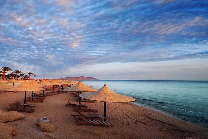 Private Relaxing Tour to El Ain El Sokhna Red Sea From Cairo - Activities and Amenities