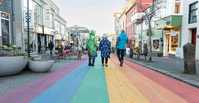 Private Reykjavik City & Icelandic Architecture Walking Tour - Architectural Evolution in Iceland