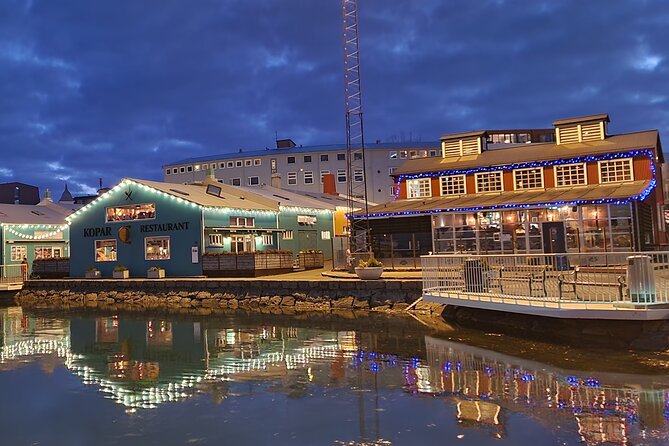 Private Reykjavik City Tour - Exploring Reykjaviks History