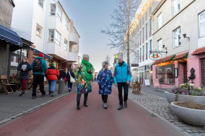 Private Reykjavik Shopping & Sightseeing Walking Tour - Free Cancellation