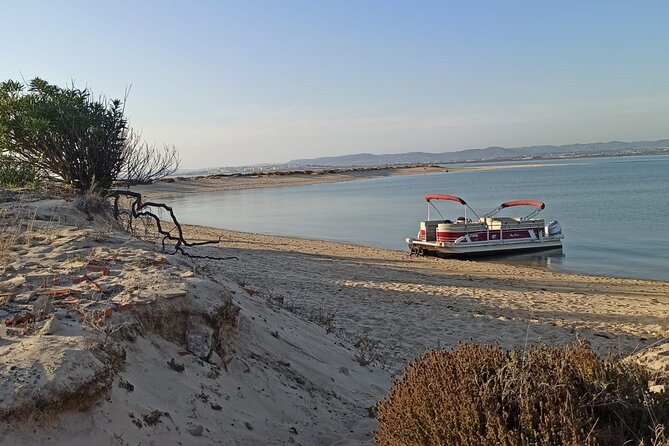Private Ria Formosa Natural Park Boat Cruise From Faro - Observing Wildlife in the Park