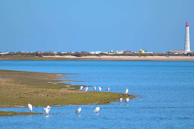Private Ria Formosa Natural Park Boat Cruise From Faro - Inclusions and Exclusions