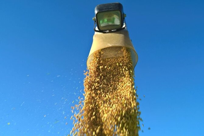 Private Rice Agriculture Experience in Mie - Participation Suitability