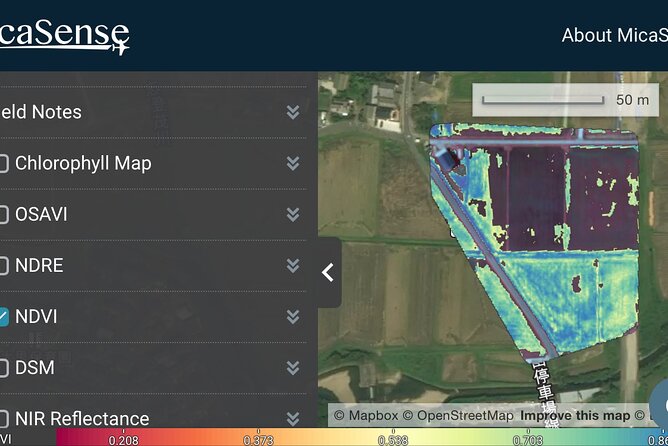 Private Rice Agriculture Experience in Mie With Modern Technology - Additional Accessibility Information