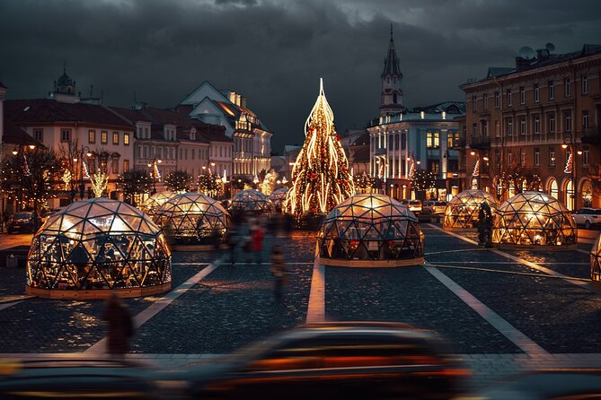 Private Riga Vilnius Transfer and Tour - Accessibility and Participation