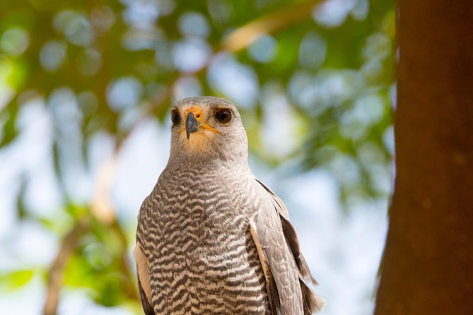 Private Rincón De La Vieja Bird Watching Tour - Diverse Ecosystems