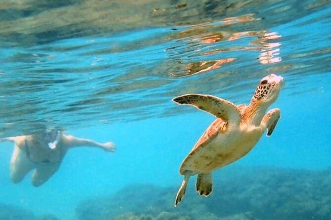 Private Rincon Snorkeling Adventure - About Your Stay